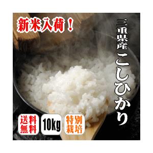【先行予約販売 限定数限りで終了 9月発送予定】令和7年産 新米 三重県産 コシヒカリ 10kg（白米）（玄米）（7分づき）（5分づき）　産地直送