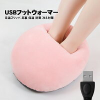 フットウォーマー パソコン USB給電 足元 あったかグッズ 足元ヒーター 足温器 暖かい 防寒グッズ 冷え性 テレワーク 在宅ワーク 会社 USB電源 冷え対策 ネコ