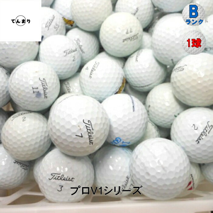 タイトリスト プロV1 シリーズ ’21ー旧 モデル混合 【Bランク】 ロストボール ゴル...