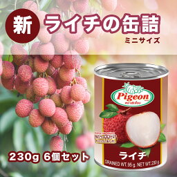 『ピジョン』ライチのシロップ缶詰め 230gx 6個【セット買い】　フルーツ 缶詰 フルーツ 果物 非常食 防災食 フルーツ 果物 非常食 防災食 シロップ缶詰め アジアン