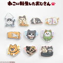 ねこに転生したおじさん コラボ ぷっくりシール サンキューマート公式