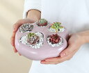 【送料無料】陶器 肉球鉢【L】サイズ【1個入り】多肉植物寄せ植え園芸花器鉢 かわいい猫犬肉球 プレゼント ギフト 趣味DIY 苔玉 テラリウム サボテン