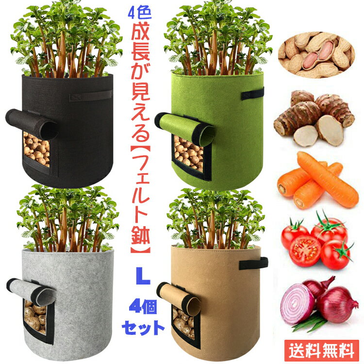 【送料無料】お得な4個セット 根菜 成長観察 フェルト 鉢　[L] プランター 栽培 いも にんじん 大根 ジャガイモ 野菜 家庭菜園 ベランダ菜園 軽い 深鉢