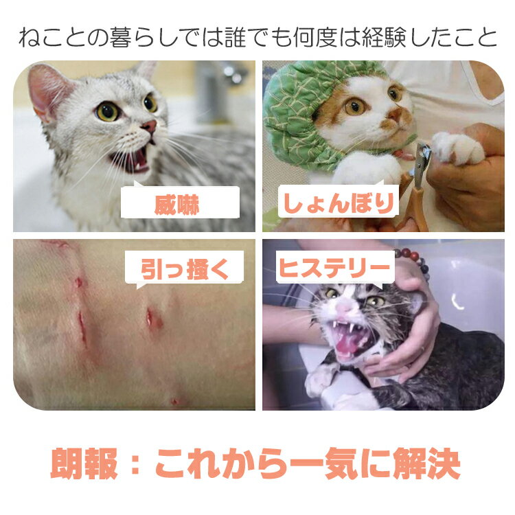 猫　専用　シリコン　靴　神アイテム　シャワー　くすり　注射　ペット　ひっかき　防止　安全　安心　おもちゃ 2