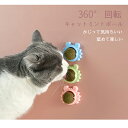 【特別企画★最大2,000円オフクーポン★20日限定】ニャンてS字な遊び場 猫 ねこ 爪とぎ つめとぎ 【D】