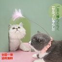 【送料無料】【1000円ポッキリ】セルフじゃらし ねこ おもちゃ ねこじゃらし