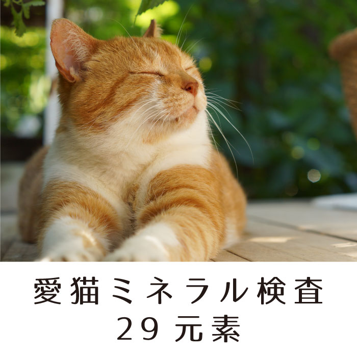 【送料無料】愛猫ミネラル検査【毛髪検査キット】栄養バランスチェック 重金属 ヒ素 予防医学