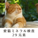 【送料無料】愛猫ミネラル検査【毛髪検査キット】栄養