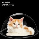 【送料無料】アクリルドーム DIY好きの味方 一味違うネコハウスを作りたい 今のキャットタワーをグレードアップ 直径30cm 35cm 40cmビスあなあり 送...