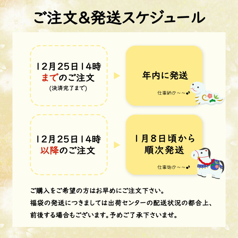 福袋 家電 2026 数量限定 中身 一部公開 数量限定 実用的 便利 アイテム 美容家電 [公式] 広報担当しのちゃん選定福箱 3