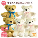 【感謝の想い、感動の重み】 赤ちゃん 体重ベア 超お得 5体セット【スタンダード 】 ウェイトベア ベージュ(茶) アイボリー(白)ウエイトベア ウエイトドール...