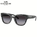 コーチ HC8379F 55208G 57 サングラス COACH アジアンフィット ローブリッジフィット グラデーションレンズ メンズ レディース(4)