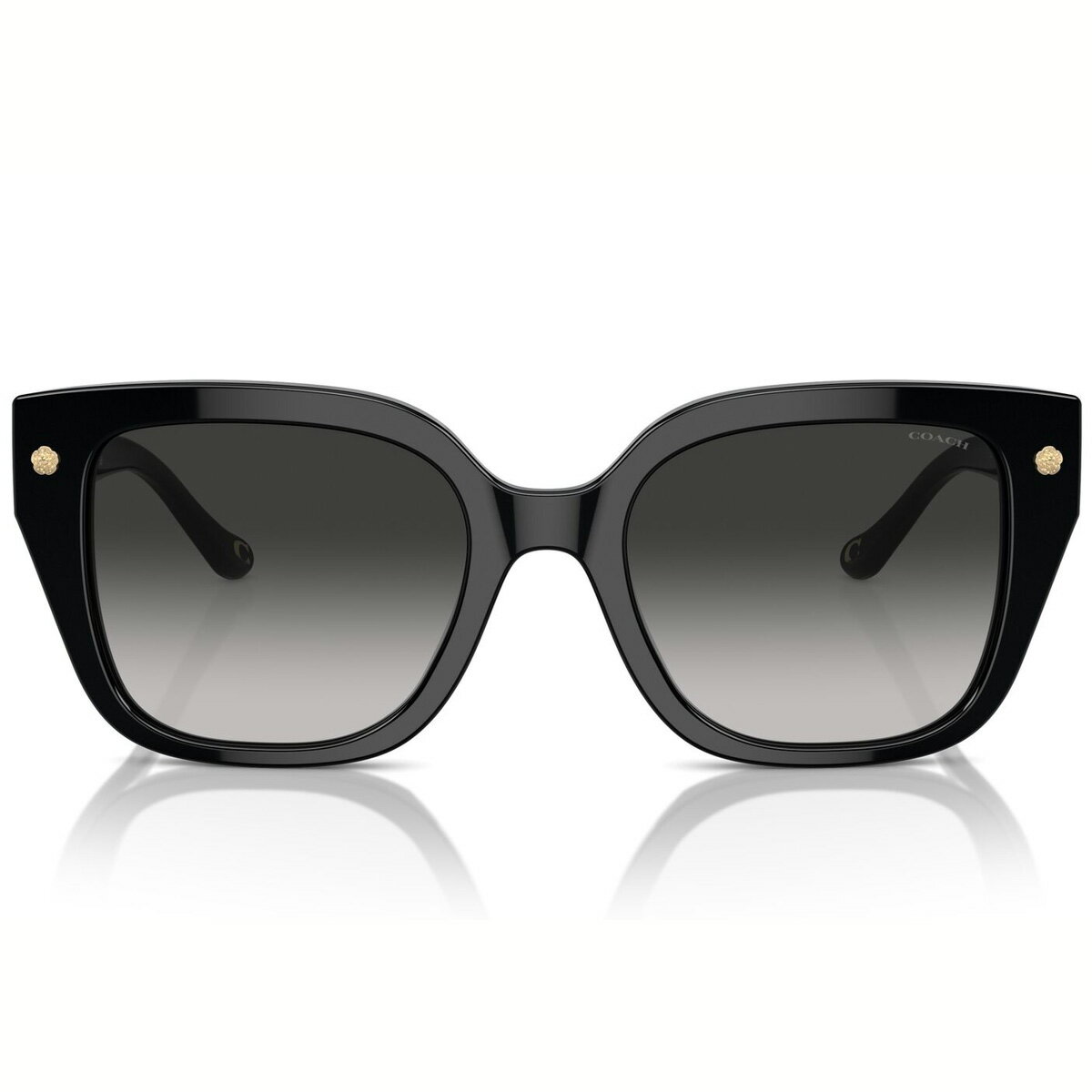 コーチ HC8392U 50023C 53 サングラス COACH チャーム オーバーサイズド 黒 ティーローズ レディース