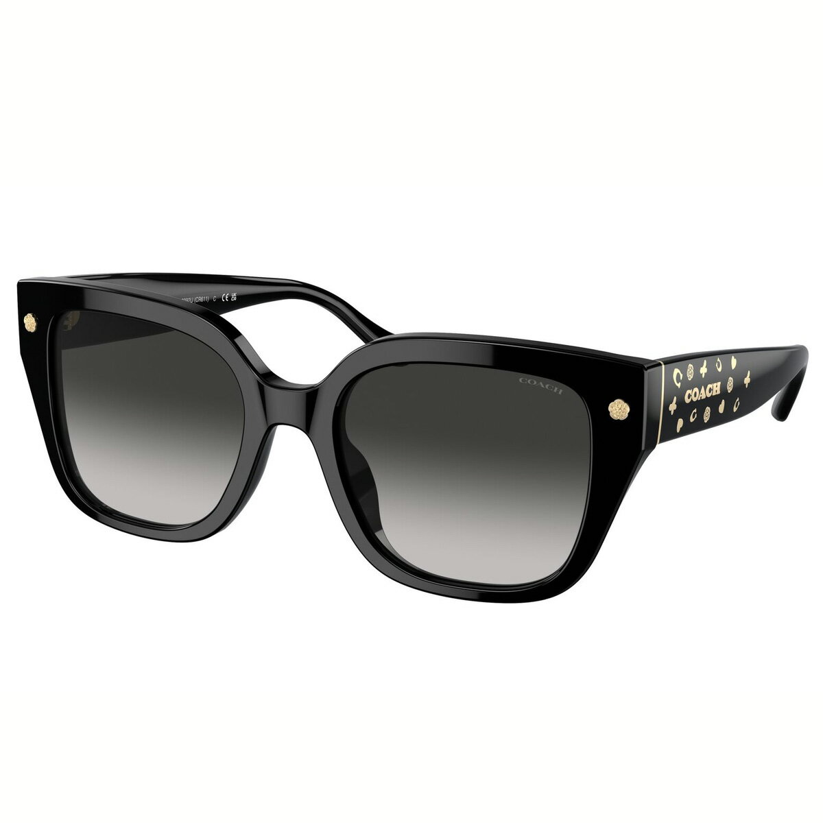 コーチ HC8392U 50023C 53 サングラス COACH チャーム オーバーサイズド 黒 ティーローズ レディース