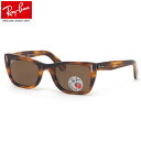 Ray-Ban サングラス RB2248 954/57 52 レイバン 偏光レンズ CARIBBEAN カリビアン B-15 ポラライズドレンズ べっ甲 デミ 度数付き対応 メンズ レディース