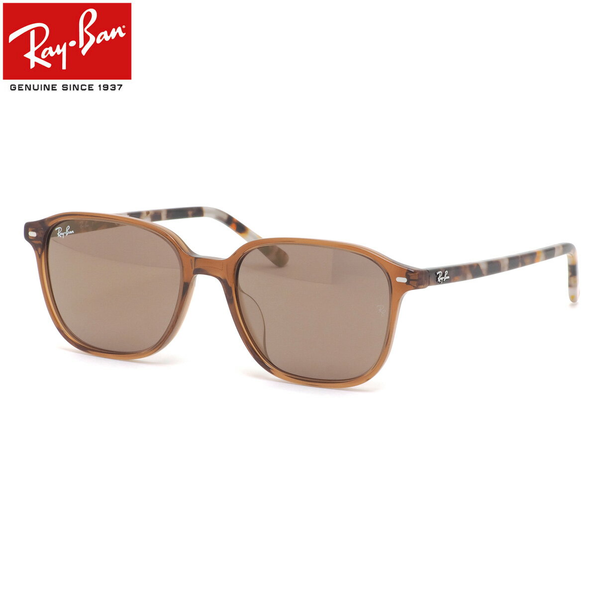 レイバン RB2193F 663693 55 サングラス Ray-Ban レオナルド LEONARD ジャパンフィット べっ甲 デミ トータス ミラー Made in Italy イタリア製 メンズ レディース