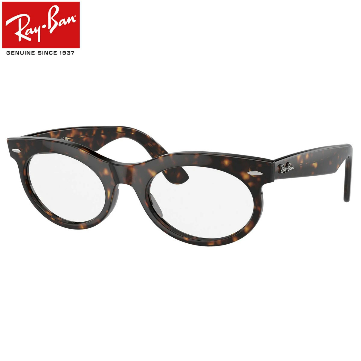 Ray-Ban RB2242F 902/GI 53 サングラス レイバン WAYFARER OVAL ウェイファーラーオーバル 度数付き対応 調光レンズ トランジションズ Transitions べっ甲 メンズ レディース 24N1