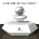 テラファイトワンダー