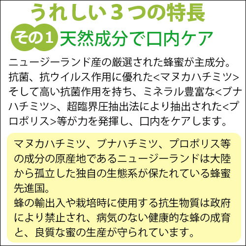 プロポリススプレー 30ml(旧商品名:スロー...の紹介画像2