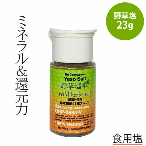 [塩工房 野次馬] ハーブソルト 九州産藻塩 バジル＆パクチー おいしいハーブSio 43g /無添加 ハーブソルト 藻塩 調味料 お肉 お魚 フライ エスニック料理 ナンプラー