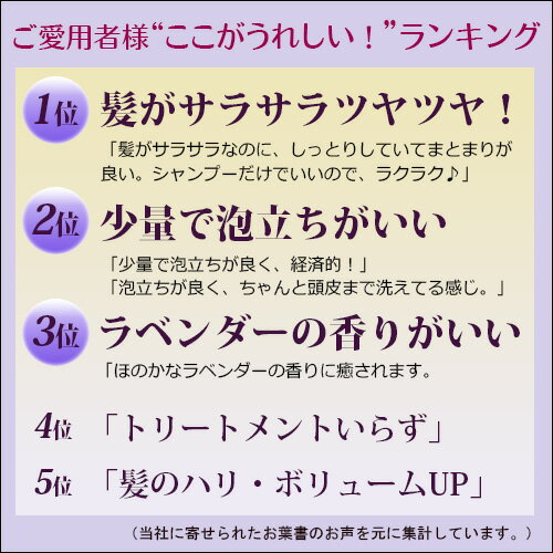 サンプル画像3