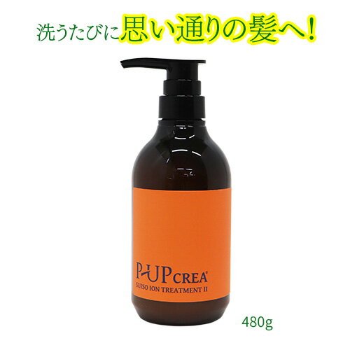 P-UP クレア 水素イオントリートメントII 480g