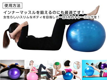 バランスボール 75cm エクササイズボール パープル/紫 【ダイエットボール アンチバースト ダイエット器具 ヨガボール 体幹トレーニング ウエスト引締め インナーマッスル フィットネス バランス運動 ストレッチ シェイプアップ 健康器具】