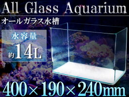 40cm水槽