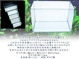 幅40×奥行19×高さ24cm