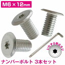 ナンバーボルト M6 12mm 取付 ネジ 薄型 盗難防止 極低頭 3本セット 輸入車 普通車 トルクスレンチ付き いたずら防止ネジ