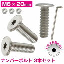 ステンレス ボルト M6 20mm 取付 ネジ 薄型 盗難防止 3本 国産車 普通車 トルクスレンチ付 いたずら防止ネジ セミロング