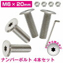 ステンレス ボルト M6 20mm 取付 ネジ 薄型 盗難防止 4本 軽自動車 トルクスレンチ付 いたずら防止ネジ セミロング