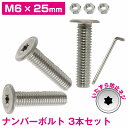 ステンレスボルト M6 25mm 取付 ネジ 薄型 盗難防止 極低頭 3本セット 国産車 普通車 トルクスレンチ付き いたずら防止ネジ ロングボルト
