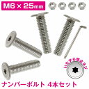 ステンレスボルト M6 25mm 取付 ネジ 薄型 盗難防止 極低頭 4本セット 軽自動車 トルクスレンチ付き いたずら防止ネジ ロングボルト