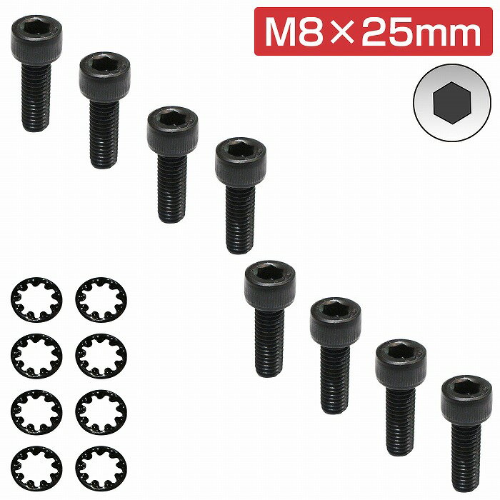 쥫   ⶯ ܥ M825 8set ܥ/å㡼 AM19 SR6 SR7 SR11 RCS C/D/SR/AM ꡼