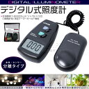the-apex:10203454のサンプル画像2
