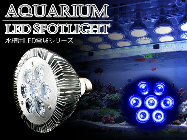 交換球 LED スポットライト 青7灯 照射角60度 水槽用照明 LED照明 LEDライト 【アクアリウム 熱帯魚 淡水魚 海水魚 水草 サンゴ イソギンチャク ミドリイシ シャコガイ 観賞魚 水槽 レイアウト】