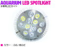 【白6/青6】24W(2W×12) 電球 E26 口金 水槽 用 照明 植物育成 スポット ライト 12LED アクアリウム 電球 水草 サンゴ 熱帯魚