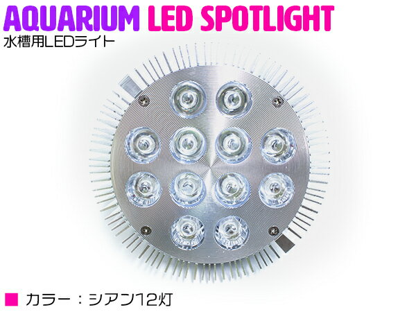 交換球 LED スポットライト シアン12灯 照射角60度 水槽用照明 LED照明 LEDライト 【アクアリウム 熱帯魚 淡水魚 海水魚 水草 サンゴ イソギンチャク ミドリイシ シャコガイ 観賞魚 水槽 レイアウト】