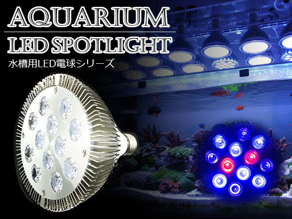 交換球 LED スポットライト 青6赤2紫外線4灯 UV付 照射角60度 水槽用照明 LED照明 LEDライト 【アクアリウム 熱帯魚 淡水魚 海水魚 水草 サンゴ イソギンチャク ミドリイシ シャコガイ 観賞魚 水槽 レイアウト】