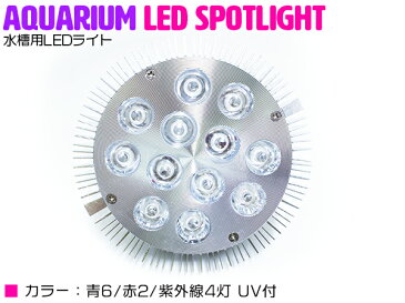 交換球 LED スポットライト 青6赤2紫外線4灯 UV付 照射角60度 水槽用照明 LED照明 LEDライト 【アクアリウム 熱帯魚 淡水魚 海水魚 水草 サンゴ イソギンチャク ミドリイシ シャコガイ 観賞魚 水槽 レイアウト】