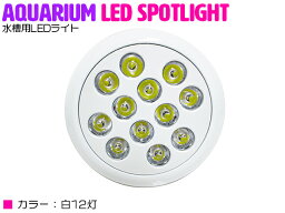 アクアリウム 電球 12 LED 白12 水槽 用 24W スポット ライト E26 口金 照明 交換 植物育成 水草 サンゴ 熱帯魚 照射角90度