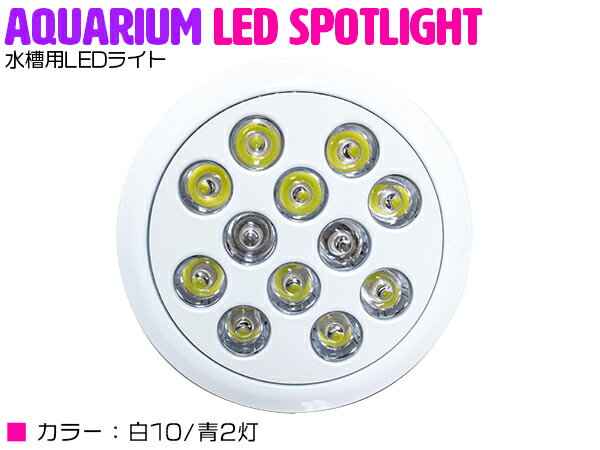 水槽用LEDライトです！◆一番普及している口金タイプになりますので、取り付ける器具を選びません。　口金が合えば、水槽照明に限らず部屋のワンポイント照明など、様々なシーンで活用できます♪◆熱放射量も低く、照射による水温上昇が軽減できます。◆LEDは紫外線を放出しませんので、熱帯魚や、サンゴ達の環境を安心に、明るくライトアップしてくれます。　※一定の温度に達しますと、LED素子の焼き付け防止の為点滅し放熱を行う仕様となっております。◆サイズ(約)：直径12cm×長さ12.5cm◆口金サイズ：E26◆照射角：60度◆適応電圧：85v-260v 50/60Hz◆本体素材：アルミ◆カラー：白10/青2灯※商品発送日より7日間の初期不良対応。▼保証書の発行は致しておりません。運送会社控えが保証書の代わりとなりますので大切に保管して下さい。運送会社控えが無い場合如何なる場合でも保証対象外となります。▼不良・誤送・不足による交換について商品の品質・管理には万全を期しておりますが万一商品の不良・誤送・不足があった場合には発送日より7日間以内にご連絡ください。7日を過ぎました商品の交換・返品は致しかねます。▼下記項目に当てはまる場合は保証対象外とさせて頂きます。・商品のイメージ違い・色違い・サイズ違い等によるお客様都合によるご交換。・チラつき等に関しましては保証対象外。・お取付の際に加工等をされた場合。また、発覚した場合。・保証に伴う往復送料に関しましてお客様負担となります。・弊社に予告なく商品を発送された場合。・商品生産終了などにより在庫がない場合は他商品とのご交換になります。※ご入札頂いた時点で上記内容に承諾したとみなします。送料タイプ：X※詳細金額は下記リンクをクリックしてください。● お支払い方法・送料を確認する。【CLICK】配送方法：宅配便（※配送業者様のご指定はお受け出来ません。）※お客様の商品適合・画像・商品ページ未確認による交換・返品等は行えません。また、弊社過失における返品・返金に付きましても、工賃等の保証はいたしませんので予めご了承下さい。(返品注意事項：弊社の了承なくご返送および弊社の指定する配送業者以外での返送はお受取り出来かねます。お客様のご都合による返品は堅くお断り致します。)※画像に付きましても、モニターの環境によっては実際の商品と色見などが違う場合が御座います。また、希に輸入商品の為、すれ・傷等がある場合が御座います。※商品仕様が予告なく変更される場合が御座います。・保証期間は商品発送日から7日間の初期不良のみです。・弊社ではお取り付けに関する対応・サポートサービス等は行なっておりません。・海外製ですので必要に応じてコーキング処理を必要とする場合がございます。・説明書は付属されておりませんのでご了承下さい。・専用品では御座いますが、純正品では御座いませんので、装着部分の形と完全一致形状とはならない場合もありますのでご了承の上購入して下さい。・必ず純正品番をご確認の上、購入頂きますようお願い致します。注意：上記事項を必ずご確認・ご了承の上購入頂きますようお願い致します。