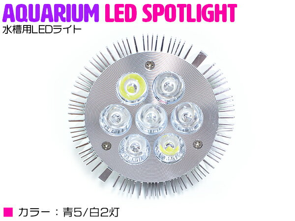 交換球 LED スポットライト 青5/白2 照射角60度 水槽用照明 LED照明 LEDライト 【アクアリウム 熱帯魚 淡水魚 海水魚 水草 サンゴ イソギンチャク ミドリイシ シャコガイ 観賞魚 水槽 レイアウト】