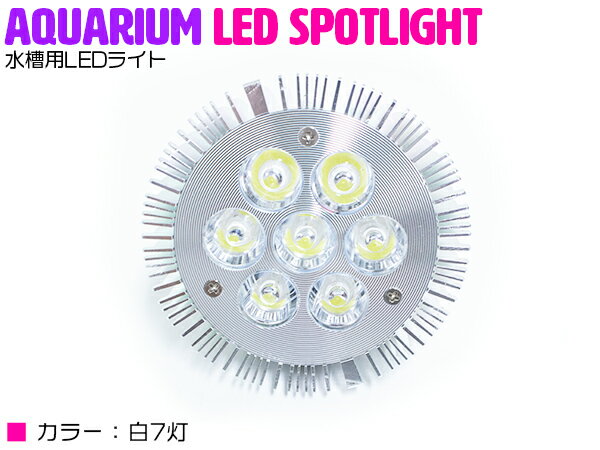 交換球 LED スポットライト 白7灯 照射角60度 水槽用照明 LED照明 LEDライト 【アクアリウム 熱帯魚 淡水魚 海水魚 水草 サンゴ イソギンチャク ミドリイシ シャコガイ 観賞魚 水槽 レイアウト】