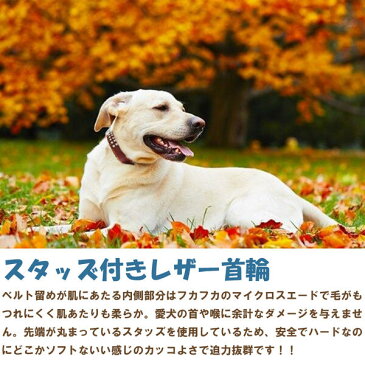 犬用首輪 Lサイズ ・首回り：50〜65cm 幅：3.5cm ブラウン/茶色 【レザー素材 合皮 中型犬用 大型犬用】