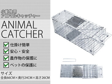 小動物用 アニマルキャッチャー Mサイズ 野生動物 保護 捕獲 小動物キャッチャー 組立簡単 【迷子 脱走 地域猫 去勢 畑 農作物 園芸植物 害獣 アニマルトラップ トラップゲージ 捕獲器 保護器 ばね式 折りたたみ 組立て式】