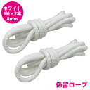 16打 8mm 5m 2本セット 計10m 係留ロープ フェンダーロープ ダブルブレイド 白/ホワイト マリン ロープ 船 係船 8ミリ