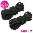 16打 10mm 5m 2本セット 係留ロープ