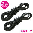 16打 12mm 5m 2本セット 計10m 係留ロープ フェンダーロープ ダブルブレイド 黒/ブラック マリン ロープ 船 係船 12ミリ